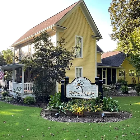Yellow Daisy Bed And Breakfast